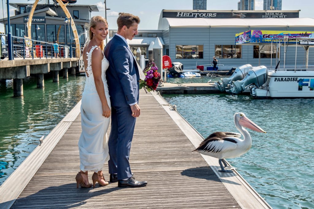 Gold coast cruises pop-up wedding event coordinator